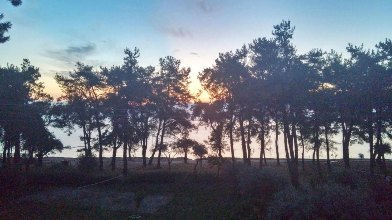 Nisteri Seaside Διαμέρισμα Λιμένας Εξωτερικό φωτογραφία