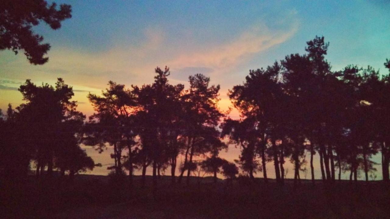 Nisteri Seaside Διαμέρισμα Λιμένας Εξωτερικό φωτογραφία