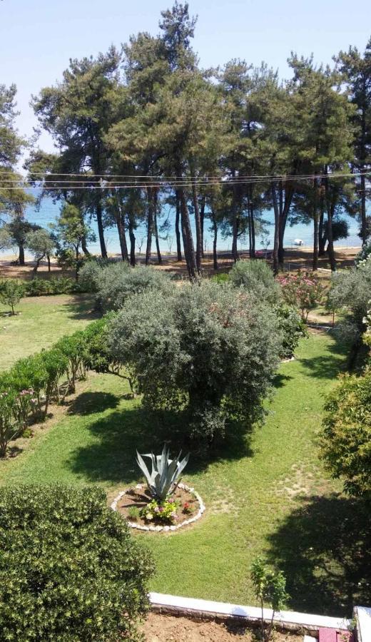 Nisteri Seaside Διαμέρισμα Λιμένας Εξωτερικό φωτογραφία