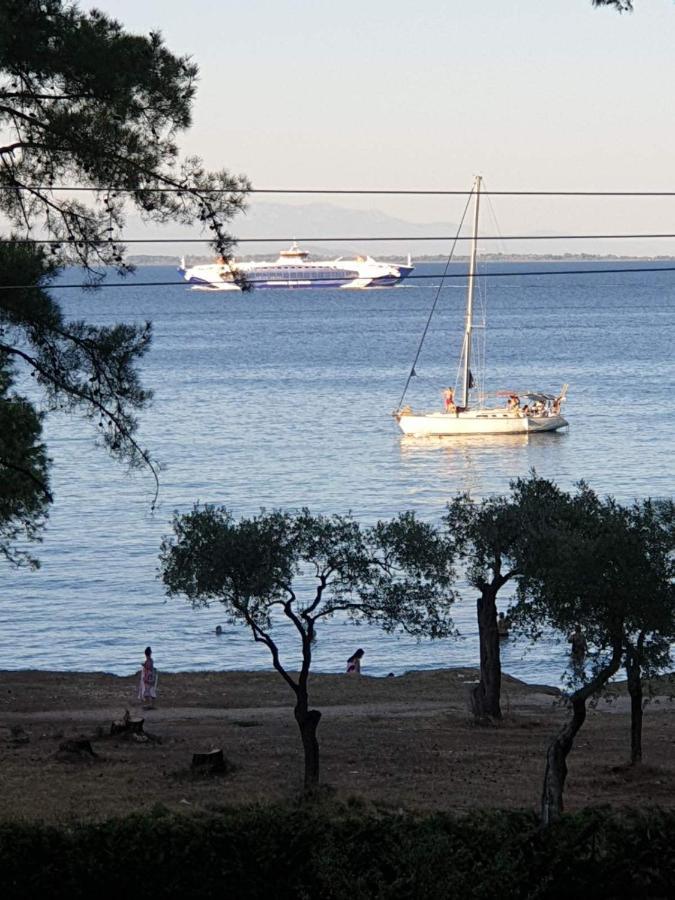 Nisteri Seaside Διαμέρισμα Λιμένας Εξωτερικό φωτογραφία