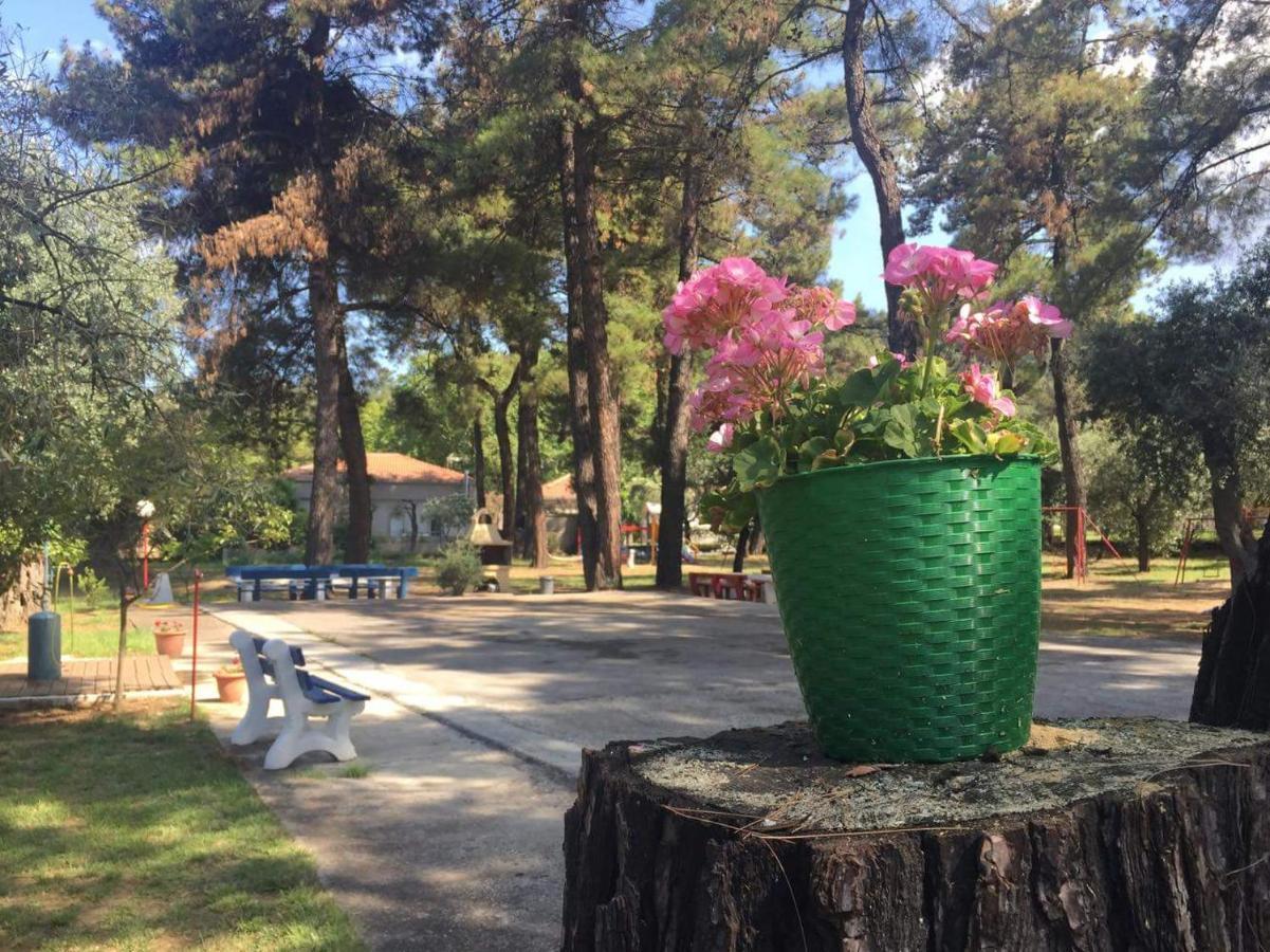 Nisteri Seaside Διαμέρισμα Λιμένας Εξωτερικό φωτογραφία