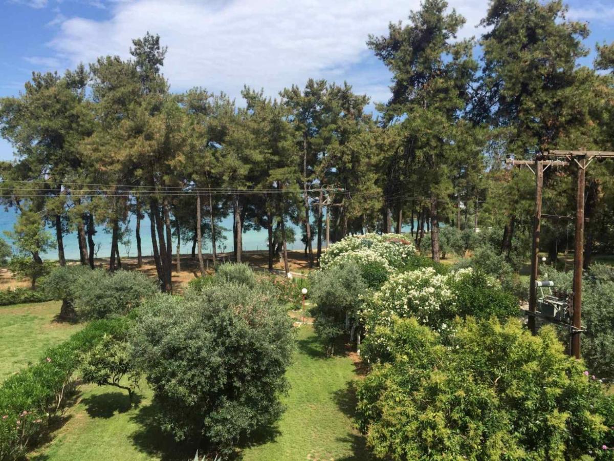 Nisteri Seaside Διαμέρισμα Λιμένας Εξωτερικό φωτογραφία