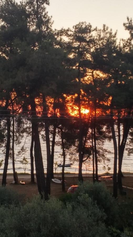 Nisteri Seaside Διαμέρισμα Λιμένας Εξωτερικό φωτογραφία