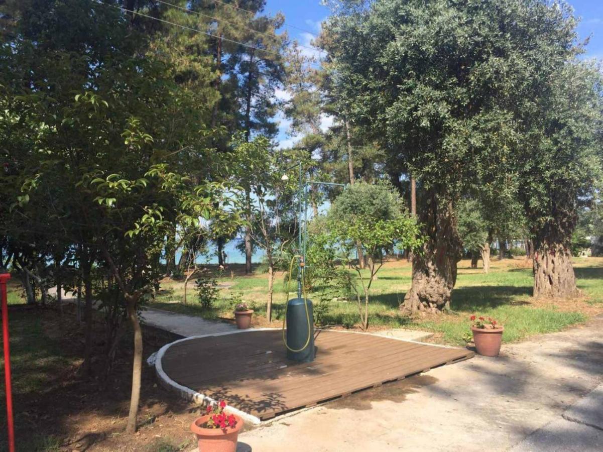 Nisteri Seaside Διαμέρισμα Λιμένας Εξωτερικό φωτογραφία